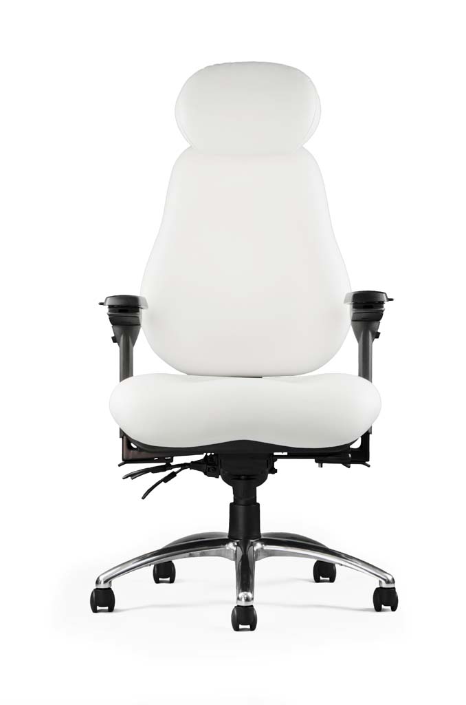 NPS8600: Superior Ergonomic Seating